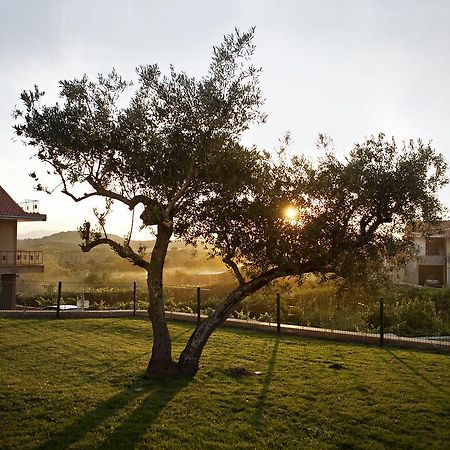 Casas De Vale De Lobo Villa Mirandela Ngoại thất bức ảnh