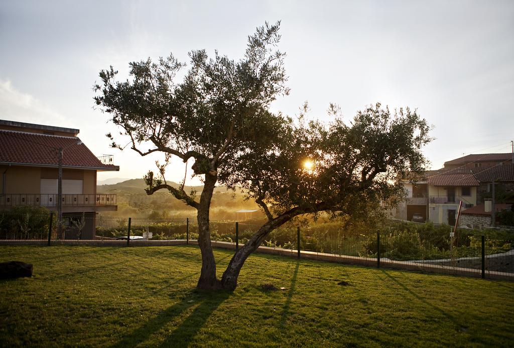 Casas De Vale De Lobo Villa Mirandela Ngoại thất bức ảnh
